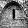 Battle Abbey Wall, East Sussex (2107)